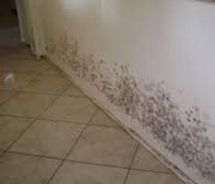 Mold growth on base of walls
