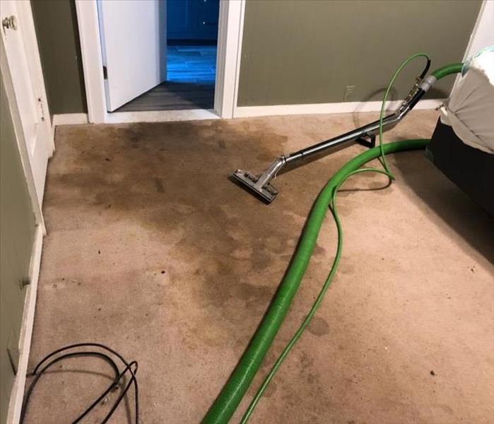 Bio hazard on carpeting in bedroom