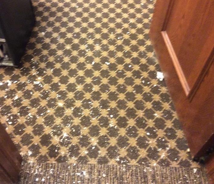 Water on carpeting in an office