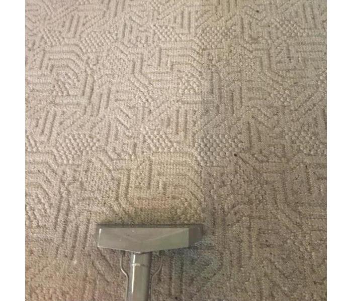 Side by side dirty vs clean carpet