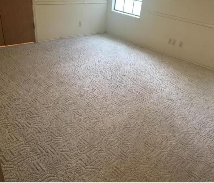 clean carpeting